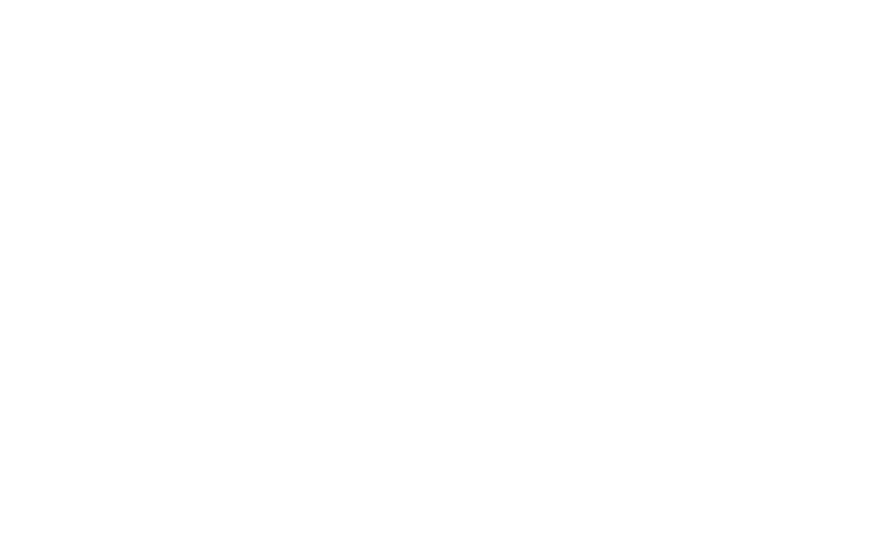 WildWinz Casino