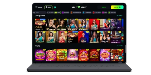 WildWinz Kasino seite